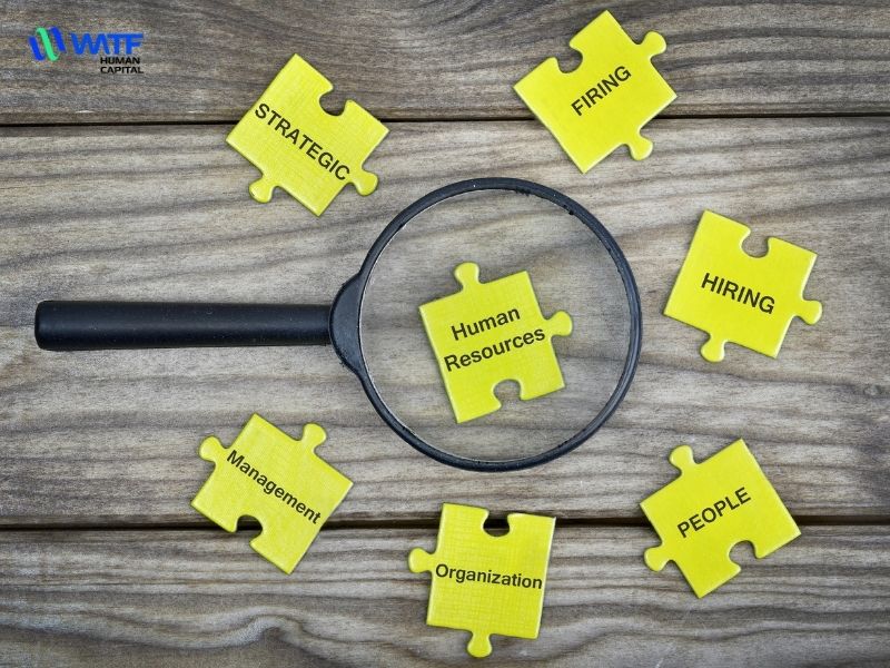 HR là gì? Vai trò của HR trong đào tạo nhân sự chiến lược 2 HR là gì? Tổng quan về bộ phận nhân sự trong doanh nghiệp
