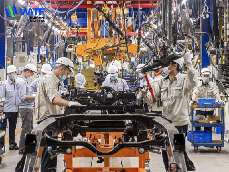 Dịch vụ cung ứng nhân sự cho ngành sản xuất - WATF Human Capital