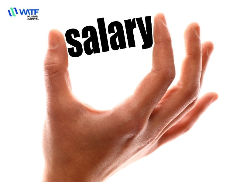 Chi phí cung ứng nhân sự và cách tối ưu hóa chi phí nhân sự hiệu quả 3 Chi phí cung ứng nhân sự và cách tối ưu hóa hiệu quả